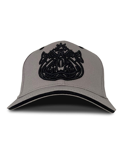 Ugly Fish Logo Cap