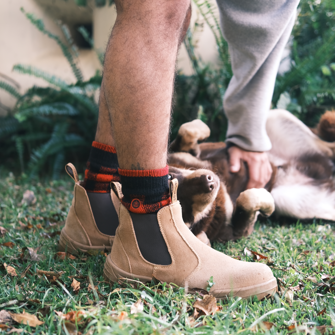 Person wearing beige work boots with black and red Ugly Fish socks on grass, with a dog in the background.