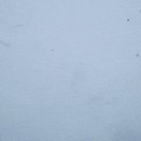 Ugly Fish Sunglasses that float