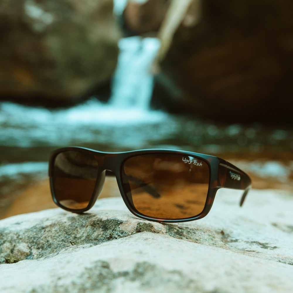 Ugly Fish polarised sunglasses on a rock with a blurred natural background