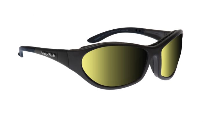 Cruize | Photochromic Motorcycle Glasses | RSPH909