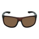 Brown Frame/Brown Lens