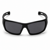 Matt Black Frame/Smoke Lens