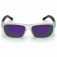 Crystal Frame/Purple Mirror Lens