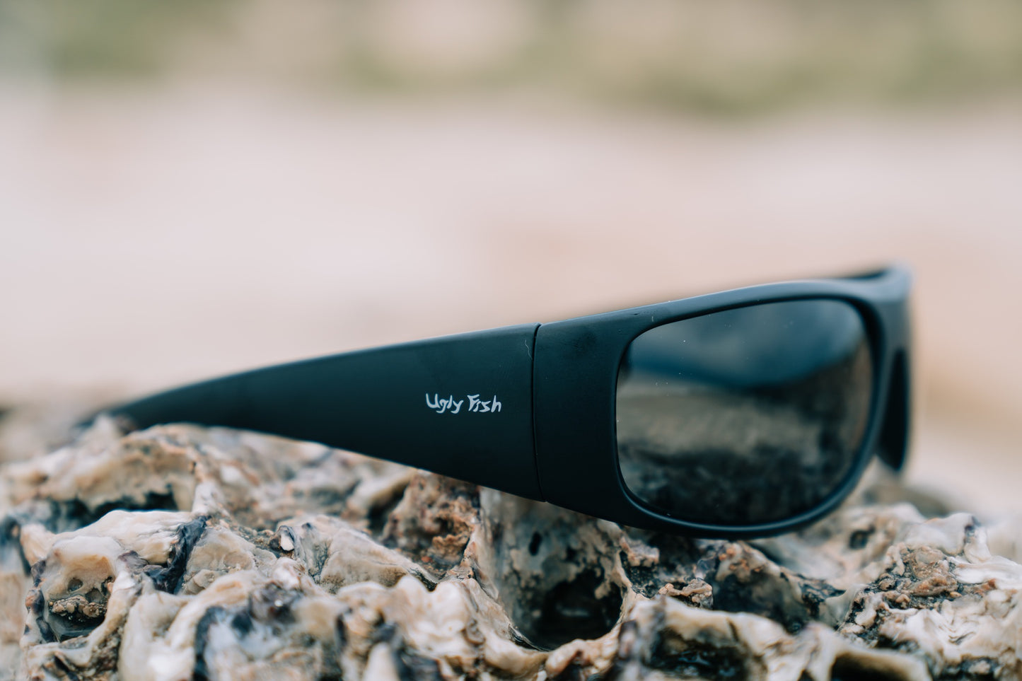 Polarised Lifestyle Sunglasses | P1044