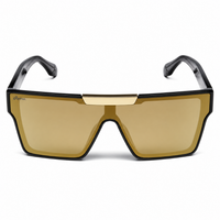 Gloss Black Frame /Bronze Lens