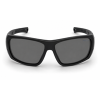 Matt Black Frame/Smoke Lens