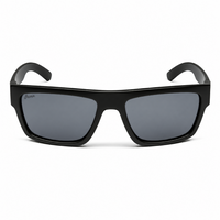 Matt Black Frame/Smoke Lens