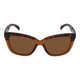 Brown Frame/Brown Lens