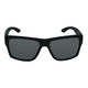 Matt Black Frame/Smoke Lens