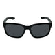 Shiny Black Frame/Smoke Lens