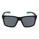 Matt Black Frame/Smoke Lens