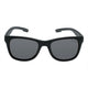 Matt Black Frame/Smoke Lens