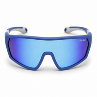 Blue Frame/Blue Mirror Lens