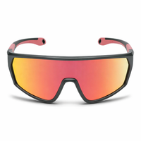 Matt Black Frame/Red Mirror Lens