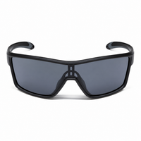 Matte Black Frame/Smoke Lens