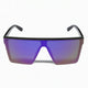 Gloss Black Frame/Purple Revo Lens