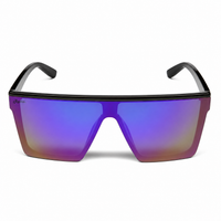 Gloss Black Frame/Purple Revo Lens