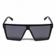 Gloss Black Frame /Smoke Lens