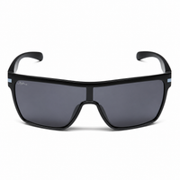Matt Black Frame /Smoke Lens