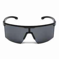 Black Frame/Smoke Lens