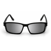 Black Frame/Smoke Photochromic Lens