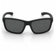 Matt Black Frame/Smoke Lens