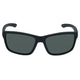 Matt Black Frame/Smoke Lens