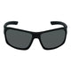 Matt Black Frame/Smoke Lens