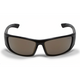 Matt Black Frame/Gold Lens