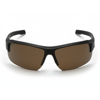 Matt Black Frame/Brown Lens