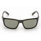 Shiny Black Frame/Smoke Lens