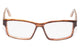 Brown Woodgrain Frame/Clear Lens