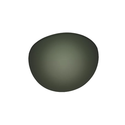 Green Polarised Lens