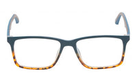 Black Brown Frame