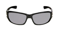 Shiny Black Frame/Smoke Lens