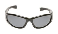 Shiny Black Frame/Smoke Lens