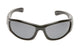 Shiny Black Frame/Smoke Lens