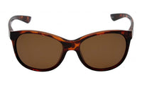 Brown Frame/Brown Lens