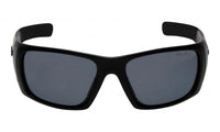 Black Frame/Smoke Lens