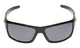 Shiny Black Frame/Smoke Lens
