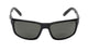 Shiny Black Frame/Smoke Lens 1.50
